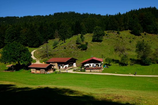 Hutzenalm