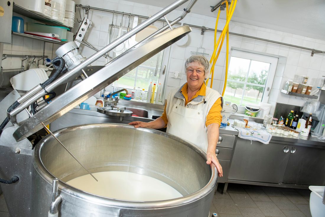 Von der Ziegenmilch zum Käse