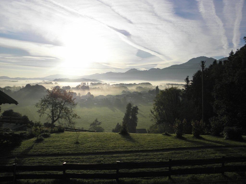 Ausblick