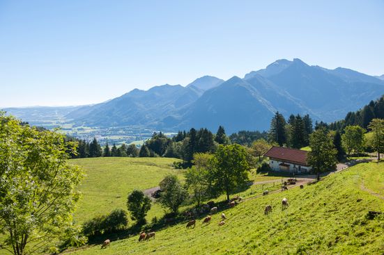 Rachlalm bei Grasssau mit Blick in den Chiemgau