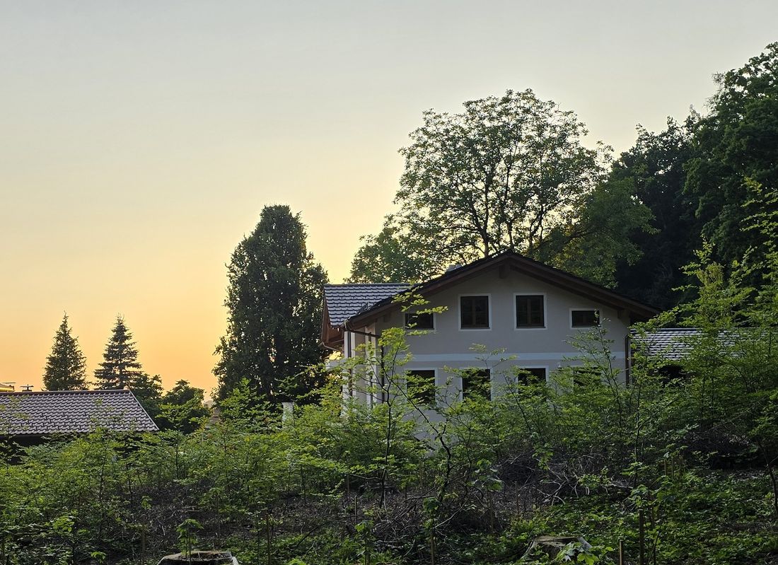 Blick vom Wald auf Haus und Sonnenuntergang