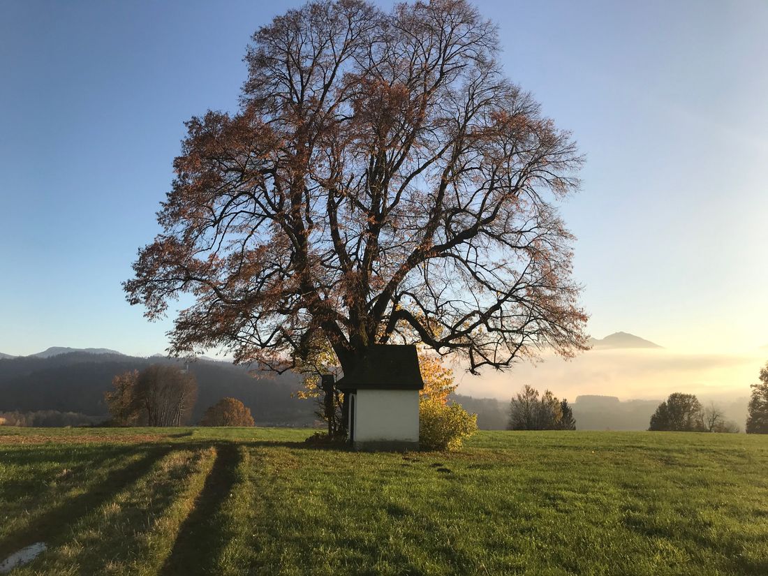 Unsere Hofkappele nur wenige Gehminuten vom Ferienhof entfernt