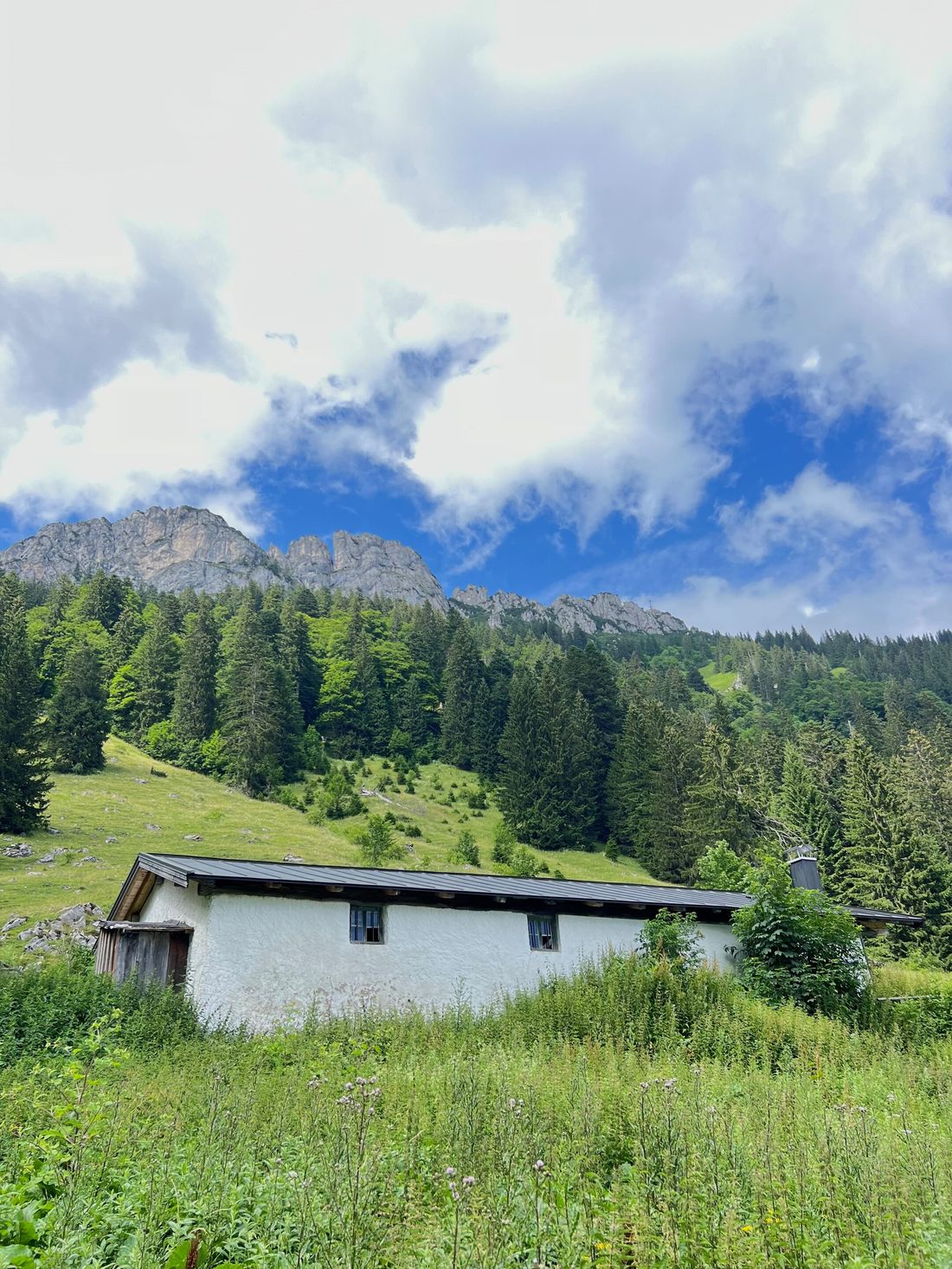 Steinbergalm