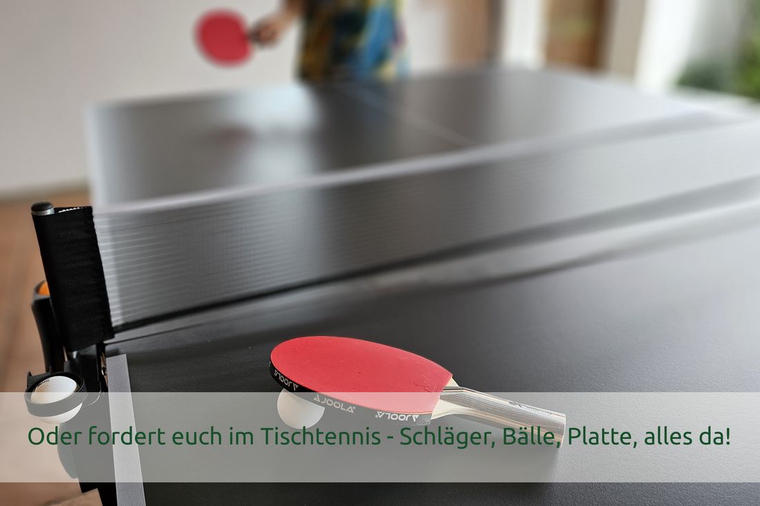 Oder fordert euch im Tischtennis - Schläger, Bälle, Platte, alles da!