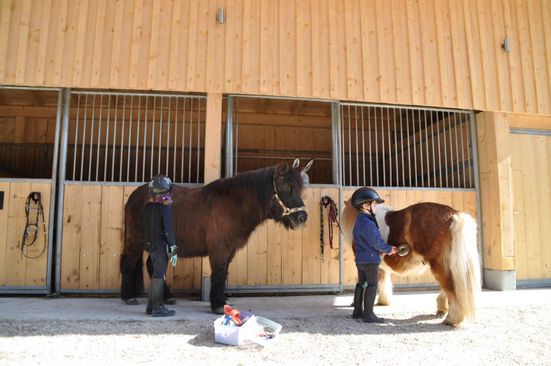 Ponys am Hof