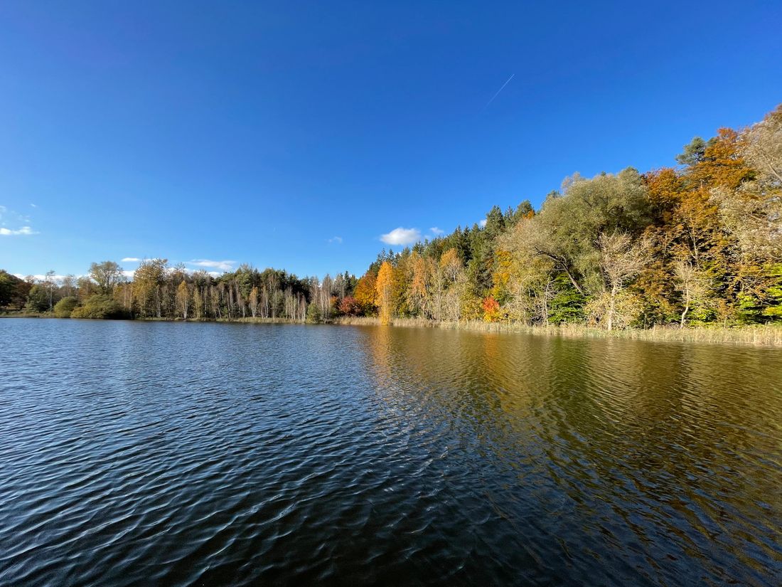 Blick auf den Griessee