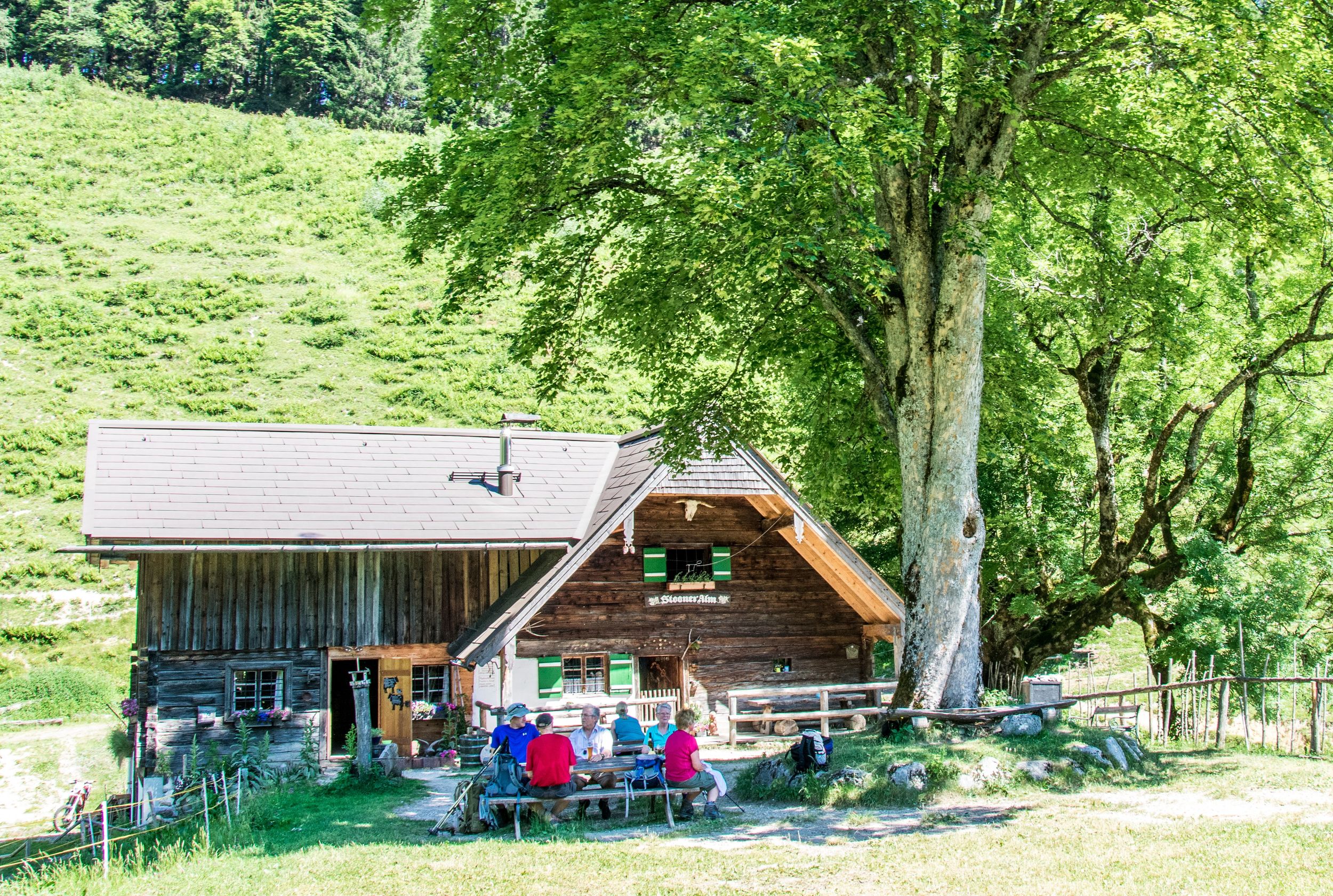 Steiner Alm