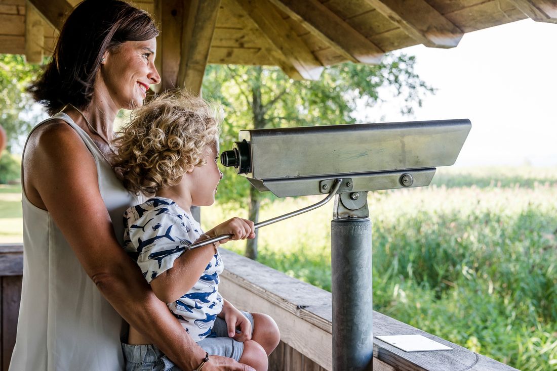 Vogelbeobachtung Seebruck