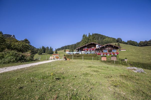 Staffn Alm auf der Hochplatte