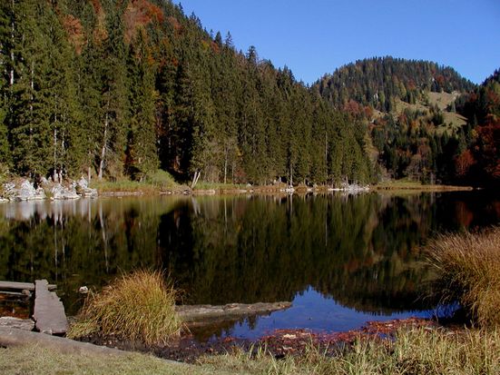 Taubensee Herbst