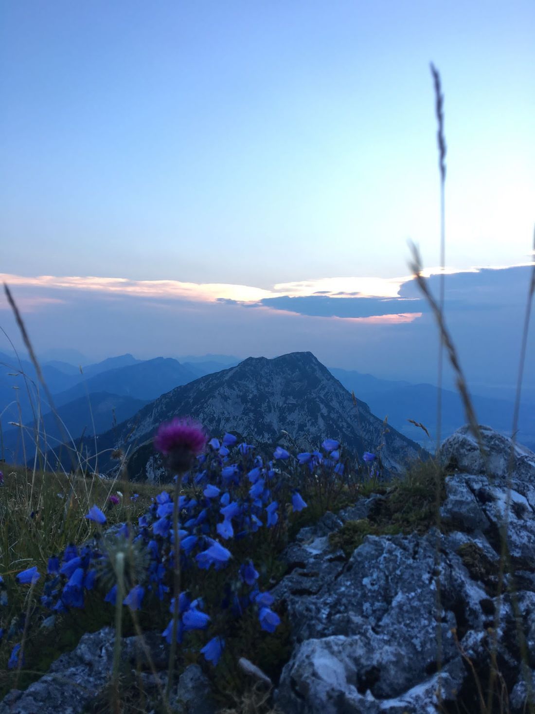Hochgern