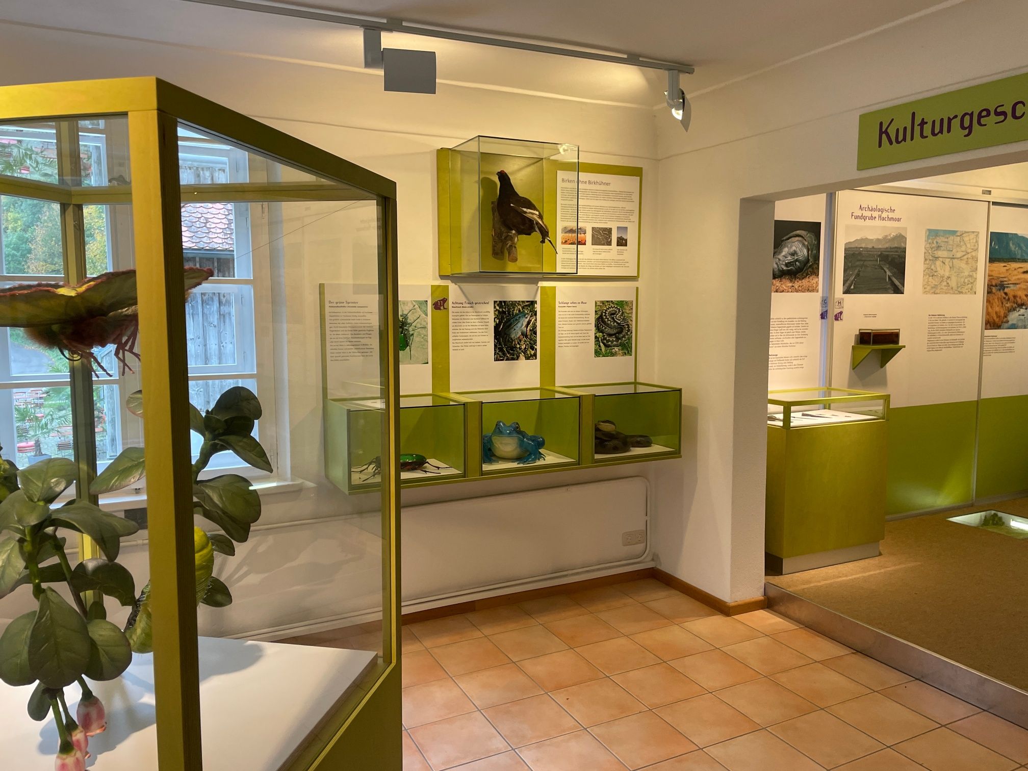 Museum Salz & Moor
