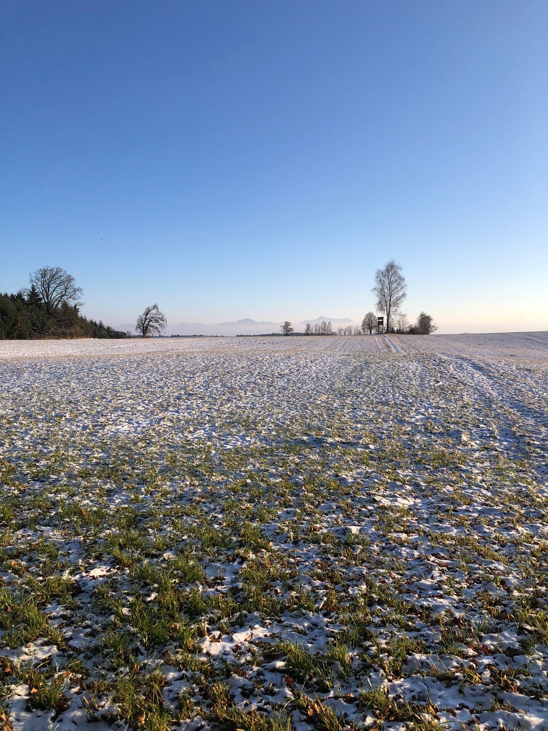 Gesund und kraftvoll durch den Winter 3