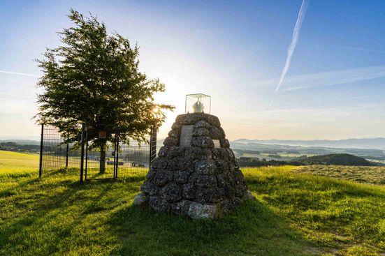 Haunsberg mit Kaiserbuche@Salzburger Seenland