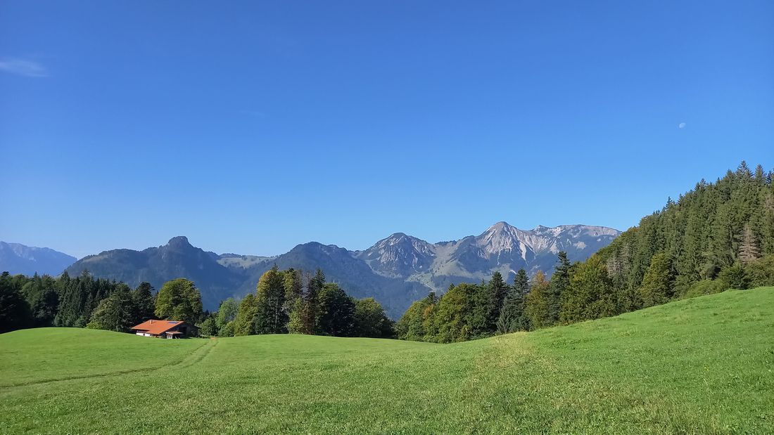 Chiemhauseralm