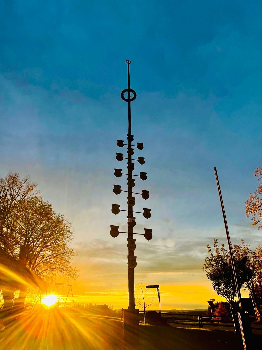 maibaum im berühmten Sonnenuntergang