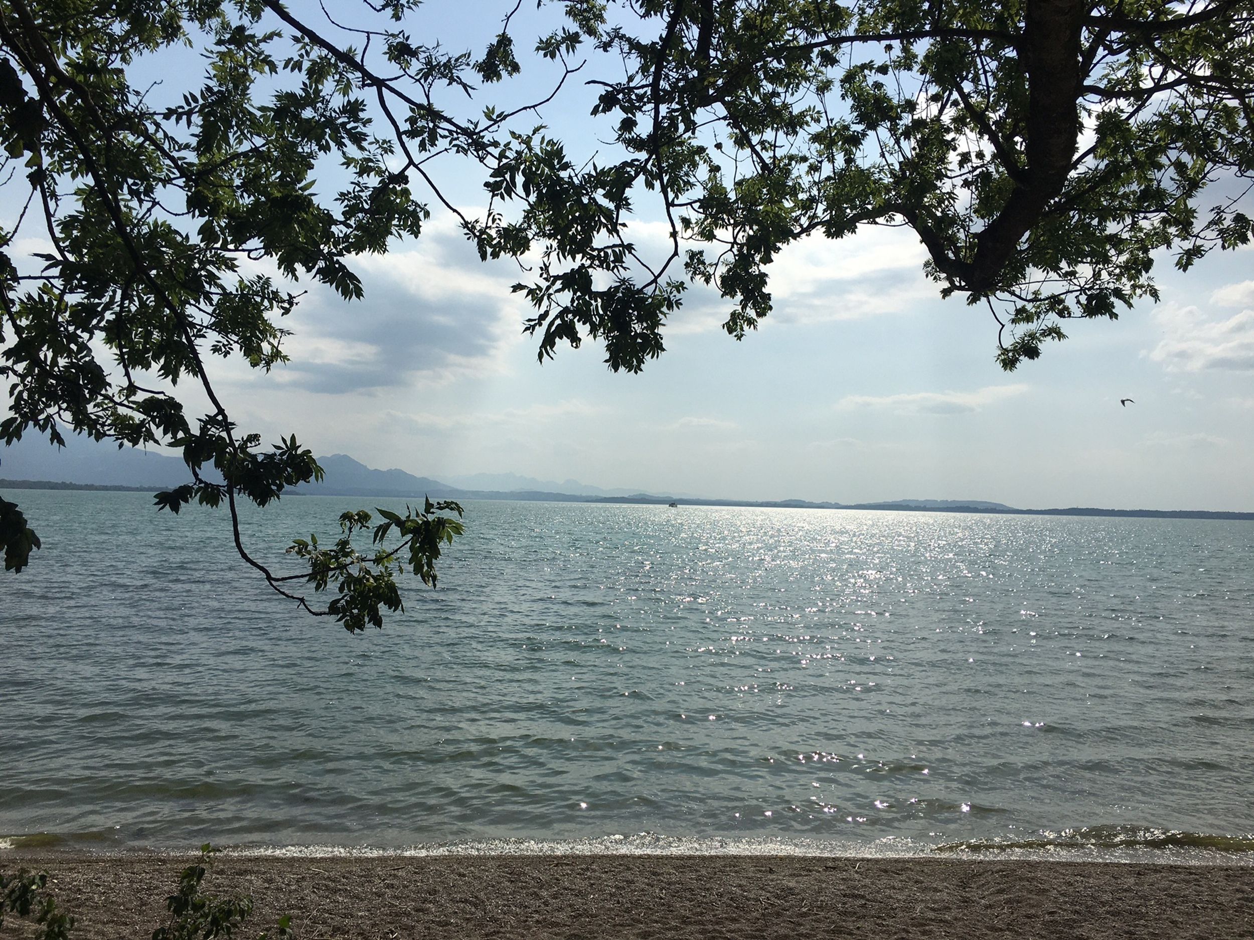 Bild Frühling Julia Philipp