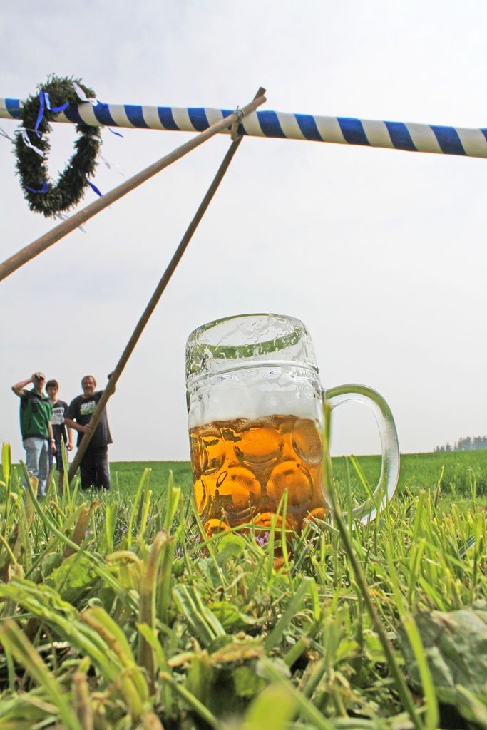 Maibaum mit bier