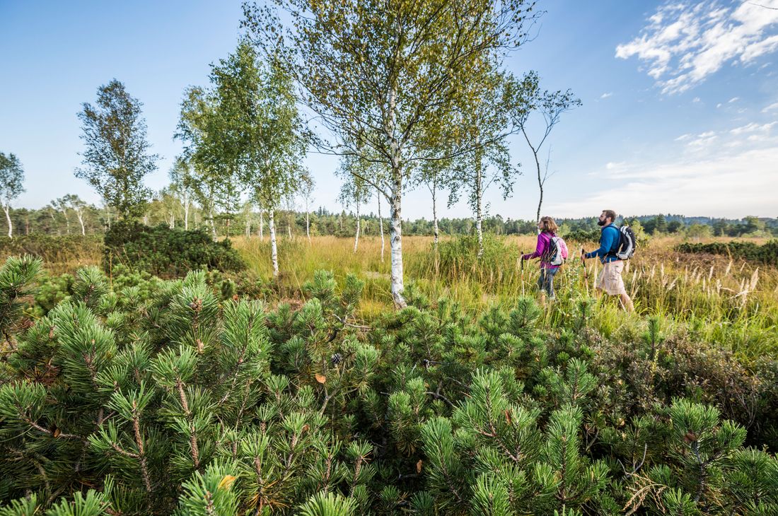 Hiking in Schönramer Filz near Petting