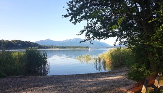 Urfahrner Spitz