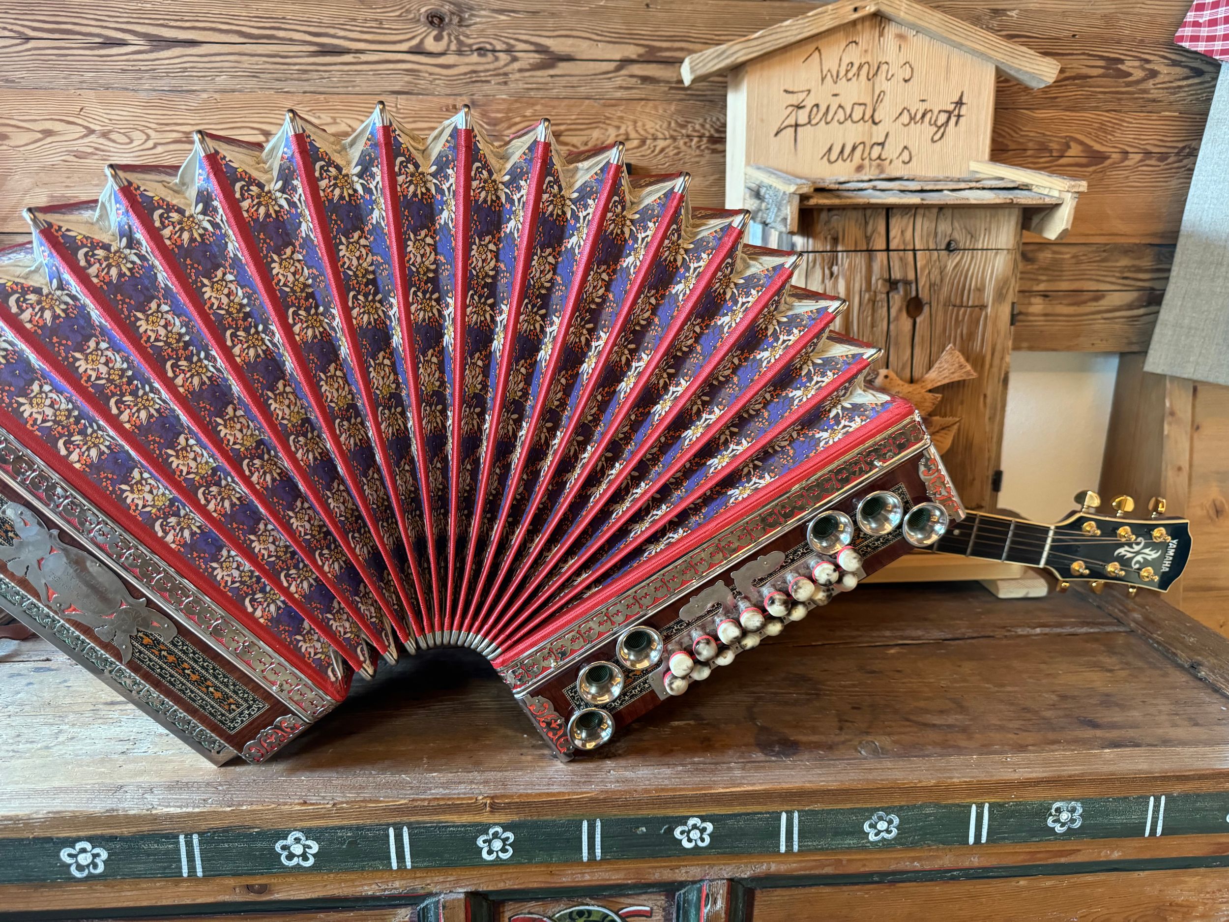 Akordeon. Claudia Nonis