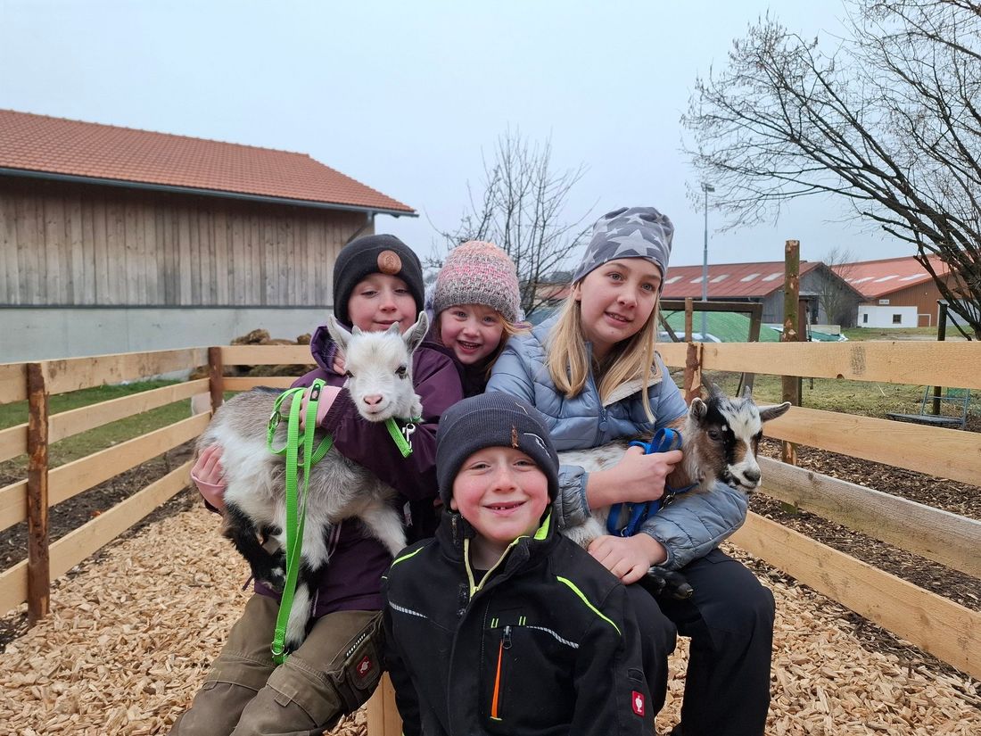 Kuscheln mit Ziegen Max und Moritz