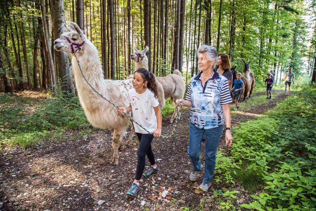 abenteuer_lama_trekking_effner_IMG_4189