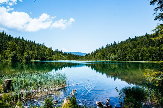 Frillensee in Inzell
