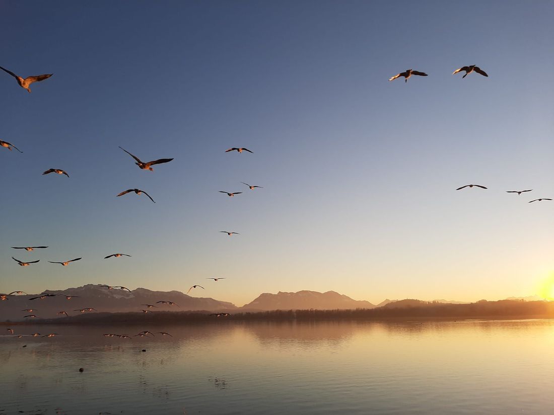 Chiemsee