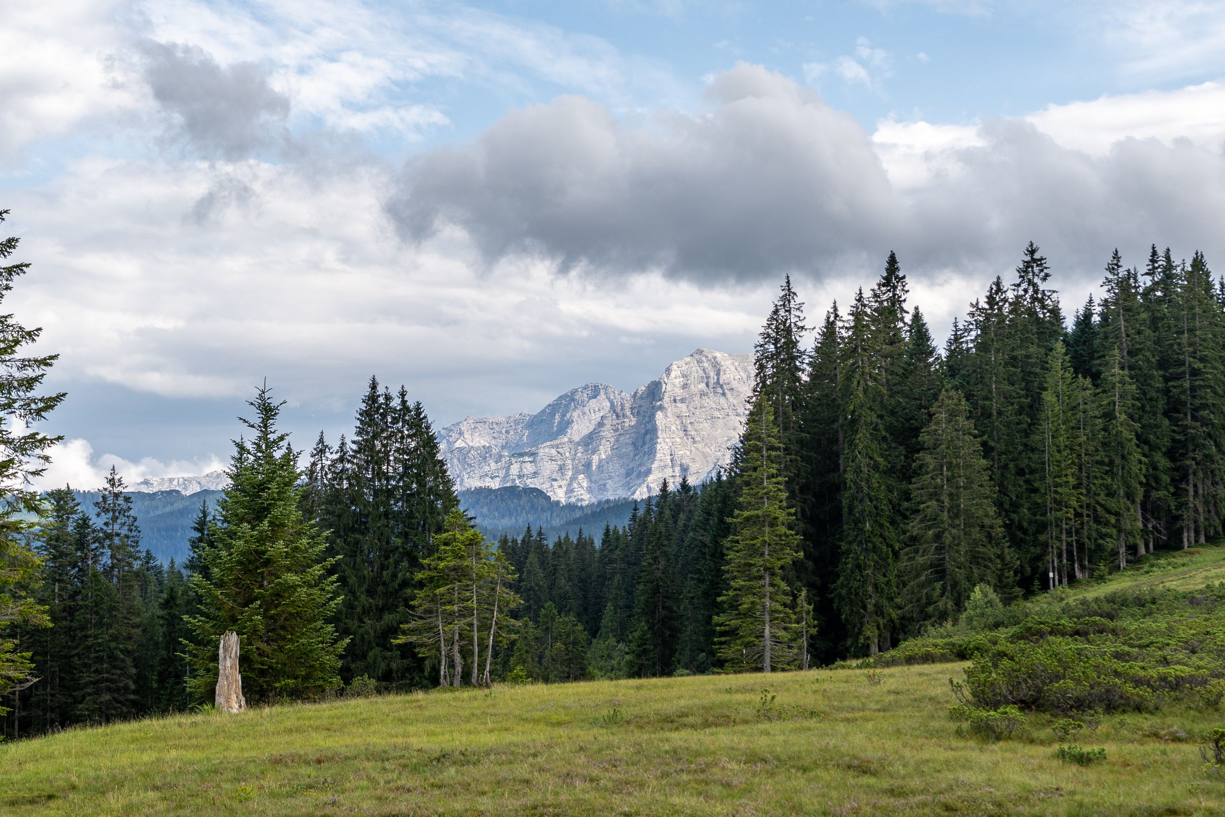 Bergpanorama auf Wanderweg