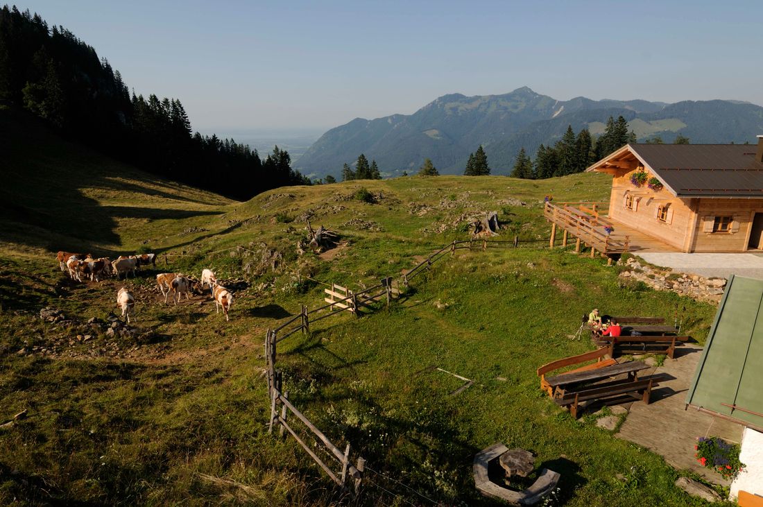 Landschaft an der Stoibenmöseralm