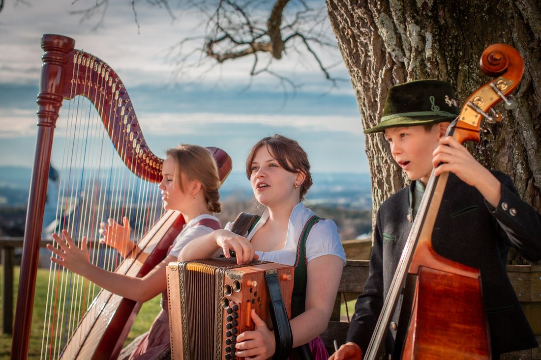 Strasser Musi (c) Anna MAria Strasser