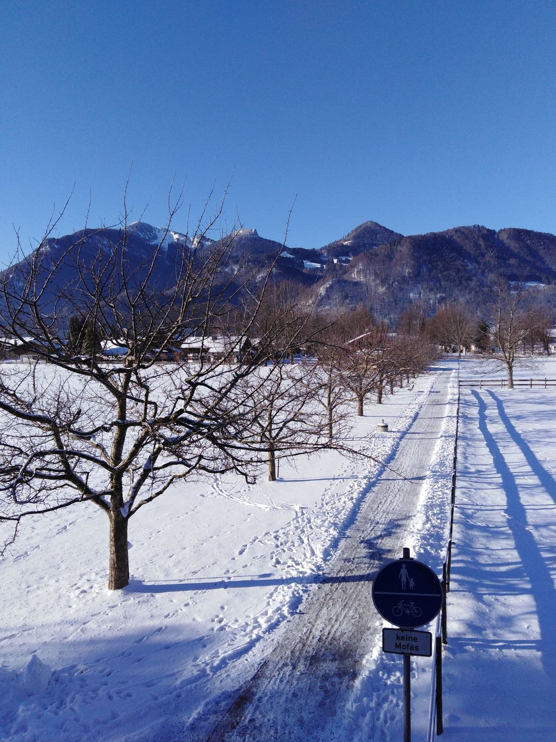 Ausblick Obstlehrpfad im Winter