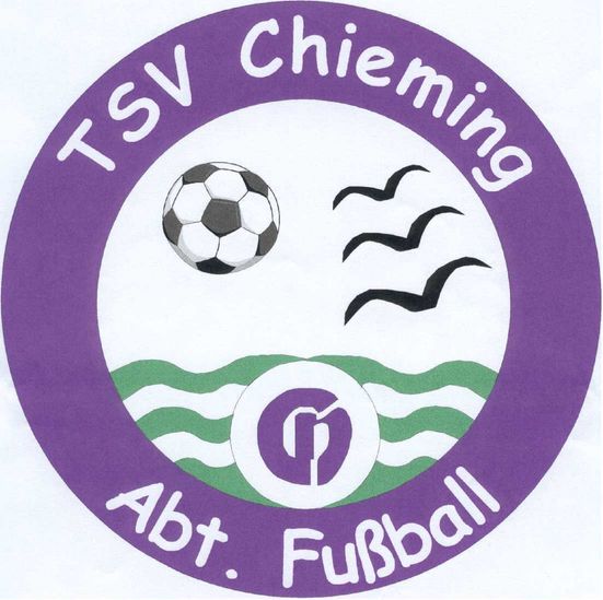 logo-fussball_1_1_1_1