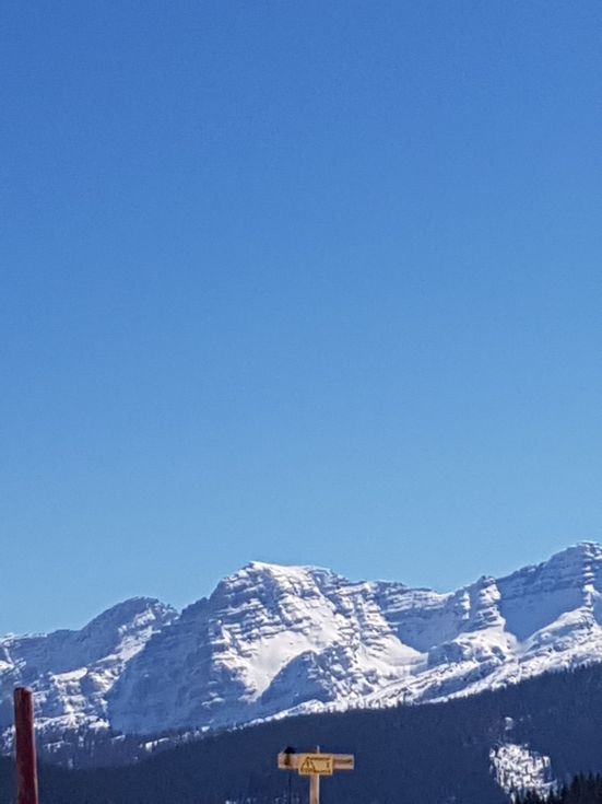Blick