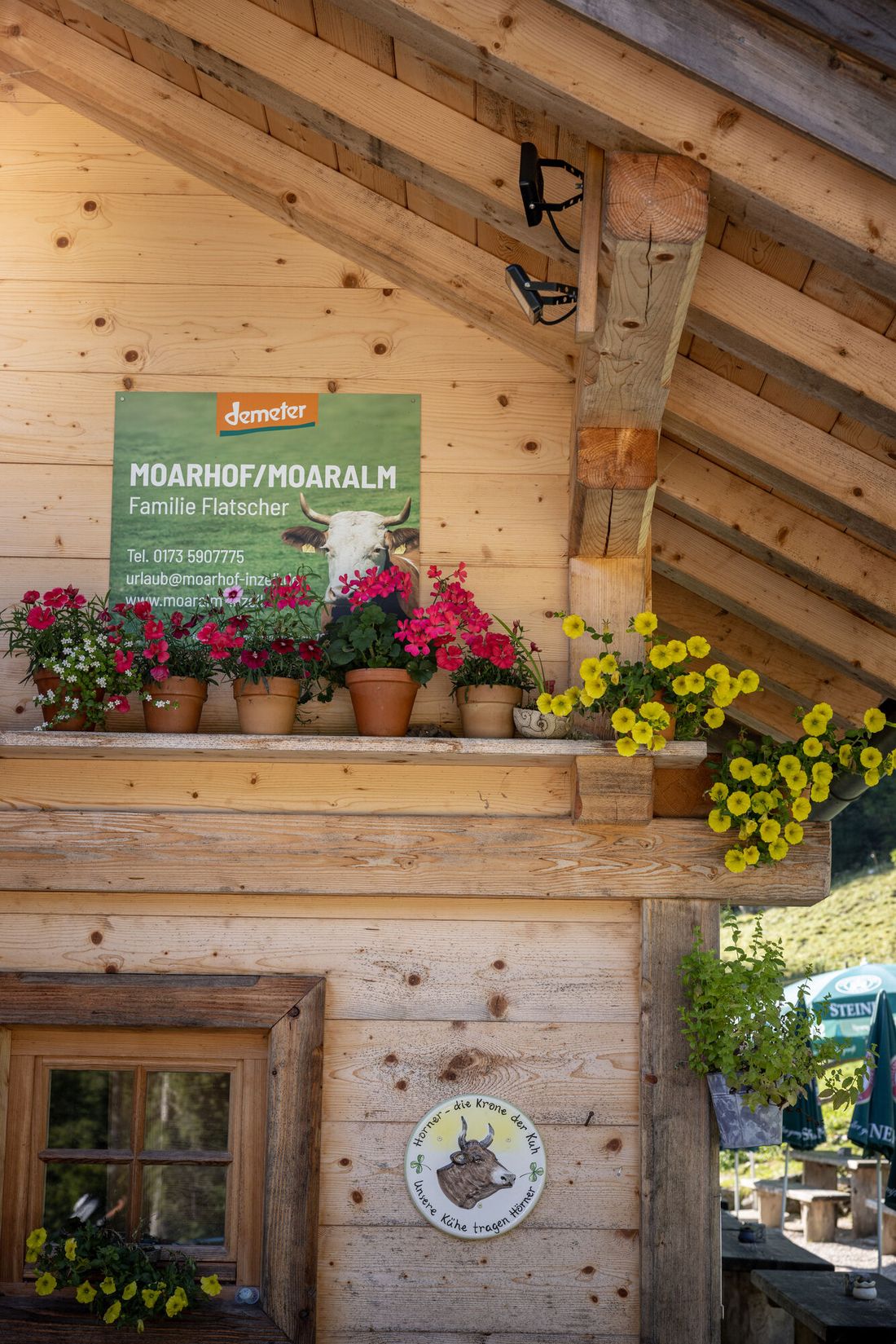 Inzell Sommer Familie Alm Moaralm Familie Rad Radfahren Mountainbike Bike Falkensee Schmelz Spielplatz Naturbadesee baden See_2