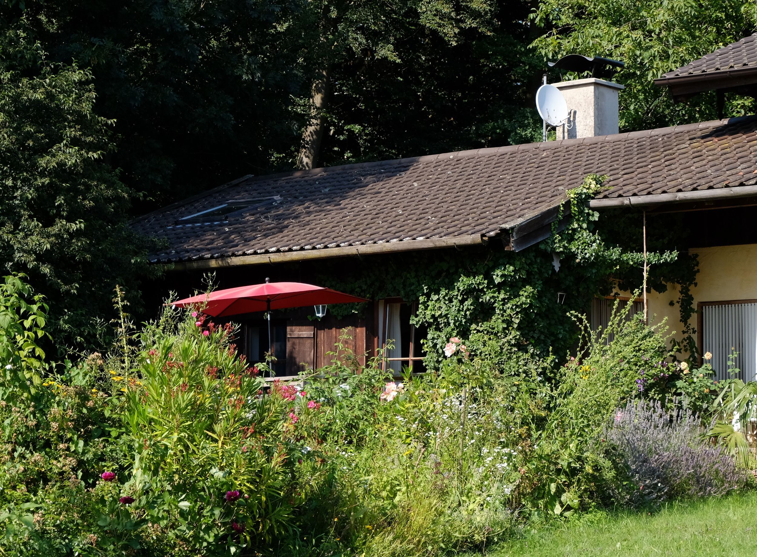 Aussenansicht von Suedwesten