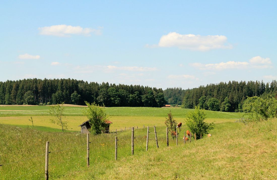 Hinterm Haus