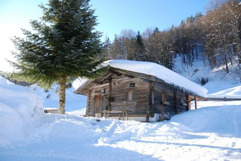 Staffeggalm
