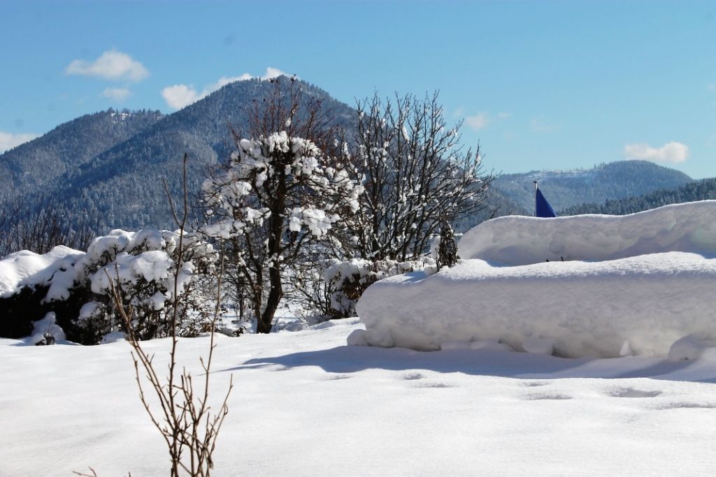 Winterliche Aussicht