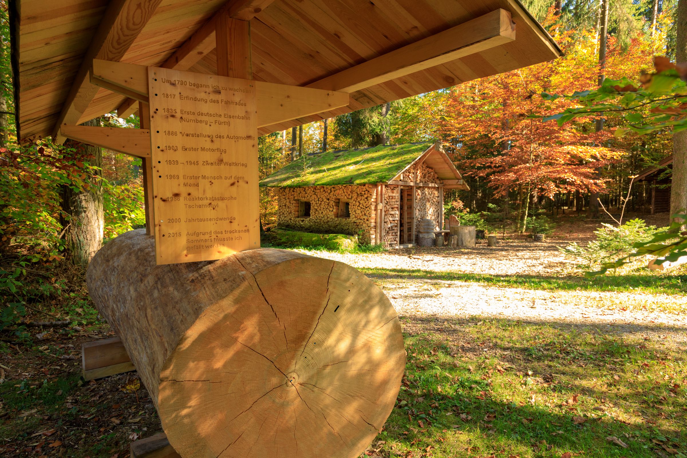 Tittmoning, Walderlebnispfad Meggenthal-2880