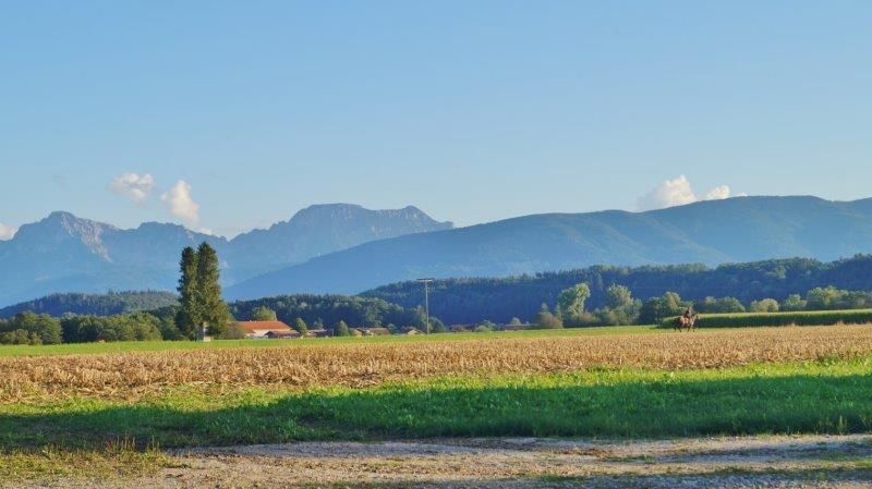 Ausblick von unserem Hof