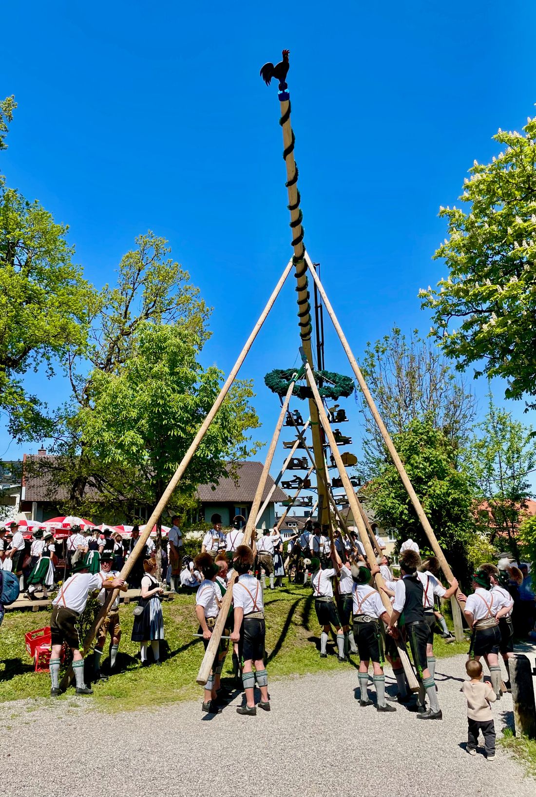 Wochinger_Maibaumaufstellen