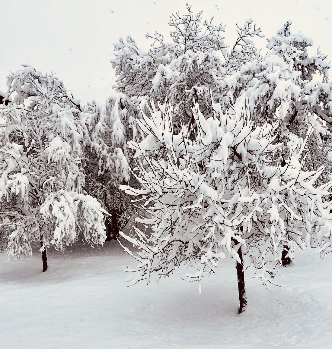 Zuhaeusl Garten im Winter