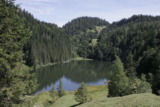 Taubensee