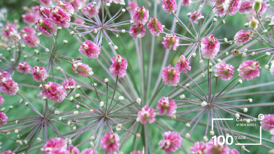 251115_Der EDEN Pilgerweg