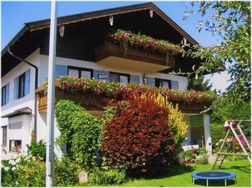 Haus