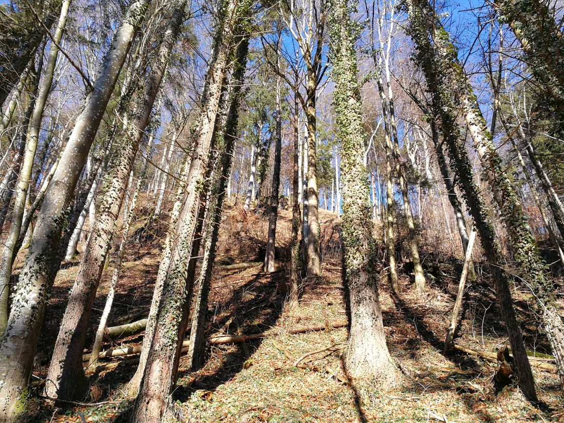 Umgebung