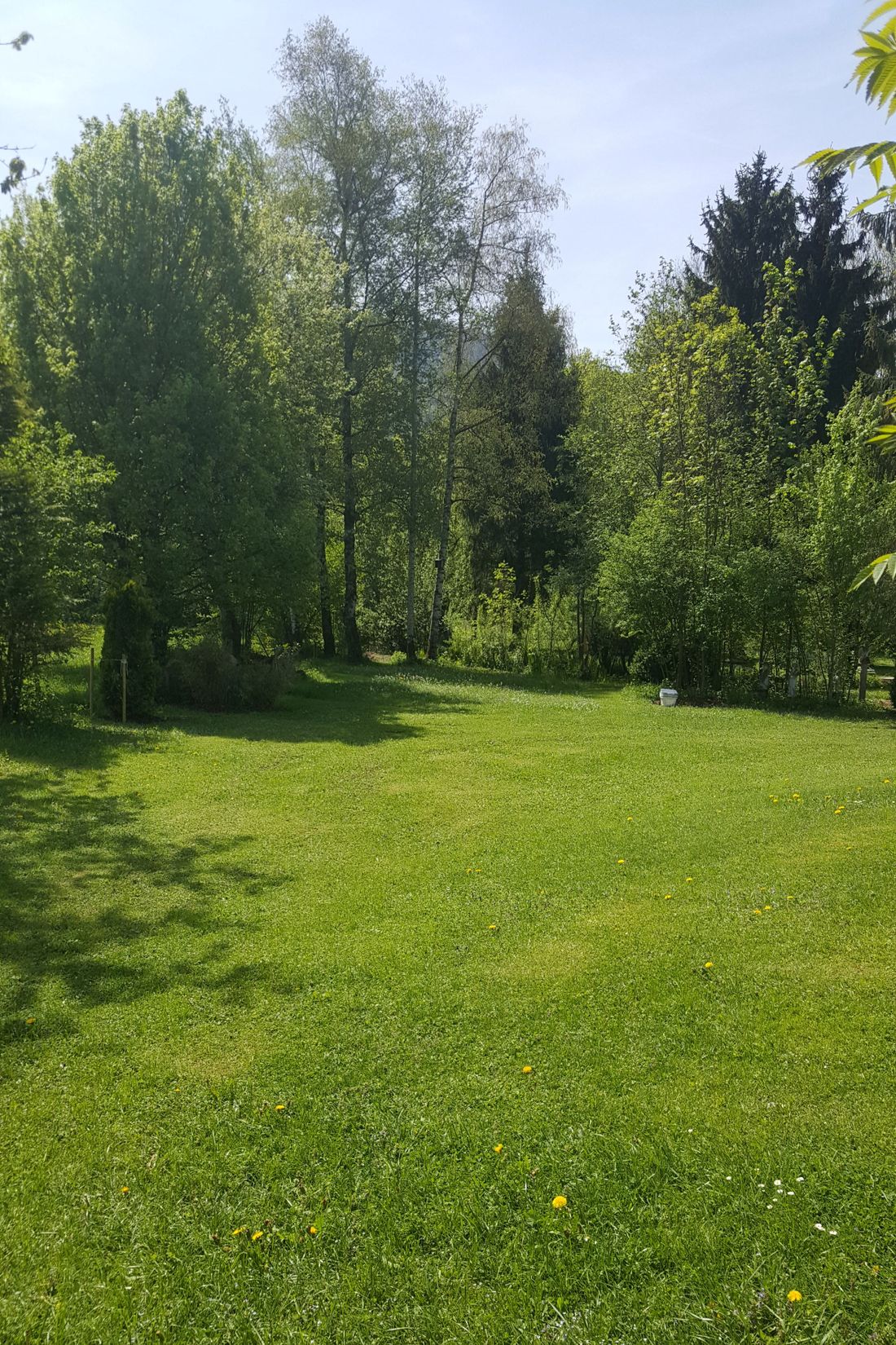 Blick in den Garten
