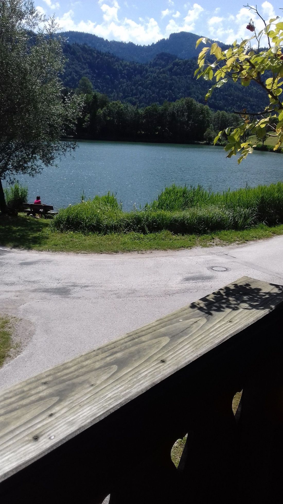 Aussicht vom Balkon im Sommer am Wössner See